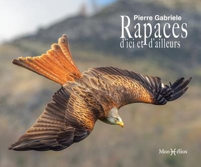 Emprunter Rapaces d'ici et d'ailleurs livre