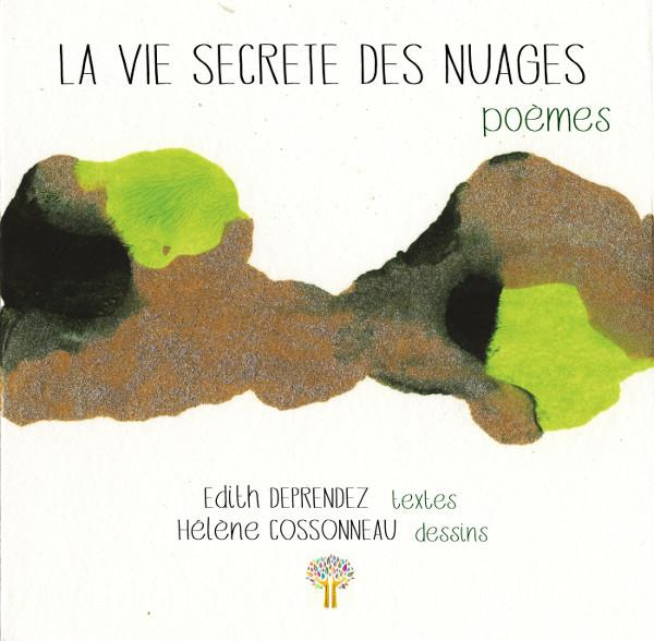 Emprunter La vie secrète des nuages livre