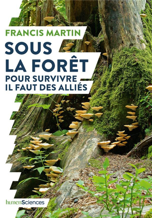 Emprunter Sous la forêt. Pour survivre il faut des alliés livre