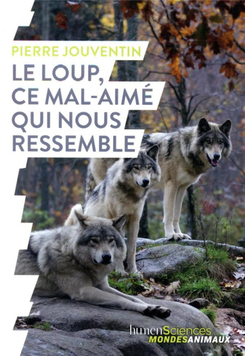 Emprunter Le loup, ce mal-aimé qui nous ressemble livre