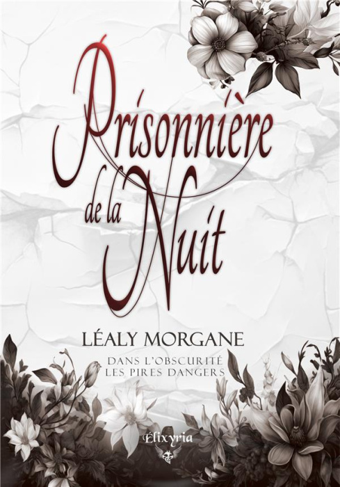 Emprunter Prisonnière de la Nuit livre