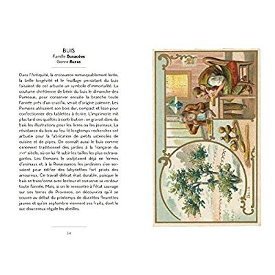 Emprunter Le petit livre des arbres livre