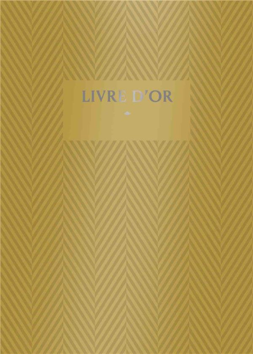 Emprunter LIVRE D'OR 2 GRAND livre