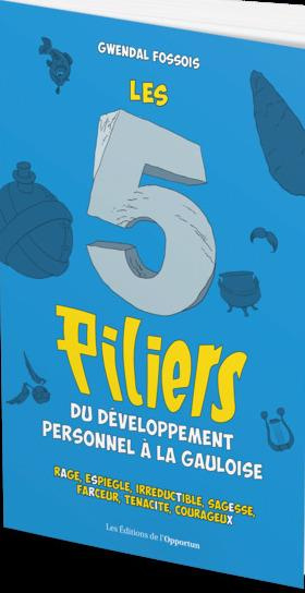 Emprunter Les 5 piliers du développement personnel à la gauloise livre
