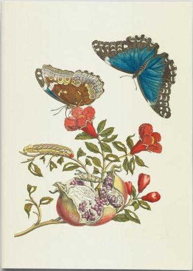 Emprunter Métamorphose des papillons. Carnet de notes livre
