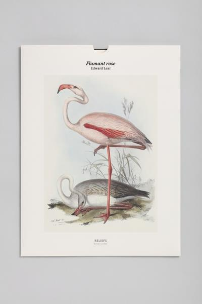 Emprunter Flamant rose livre
