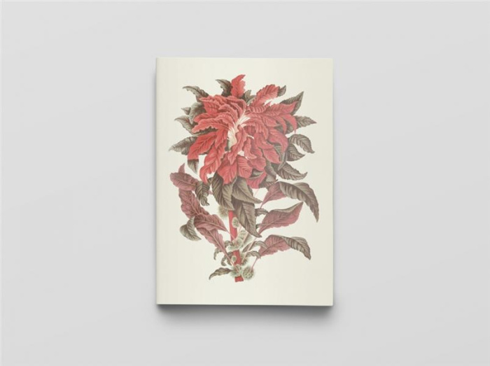 Emprunter Carnet Fleurs, fruits et feuillages de Jav livre