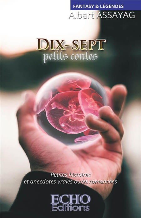 Emprunter Dix-sept petits contes livre