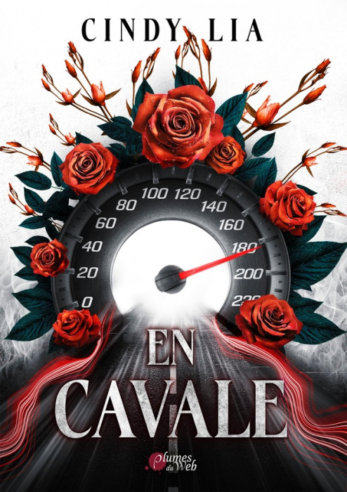 Emprunter En cavale livre