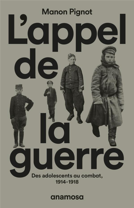 Emprunter L'appel de la guerre. Des adolescents au combat, 1914-1918 livre
