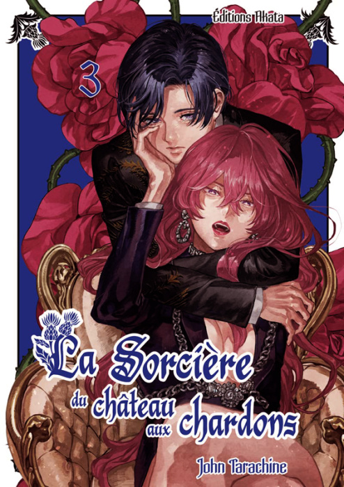 Emprunter La sorcière du château aux chardons Tome 3 livre