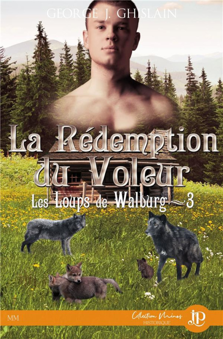 Emprunter La rédemption du voleur livre