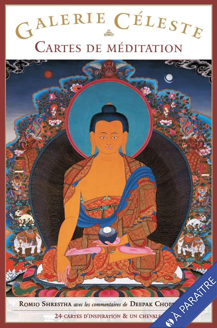 Emprunter Galerie céleste. Cartes de méditation. Avec 1 chevalet livre