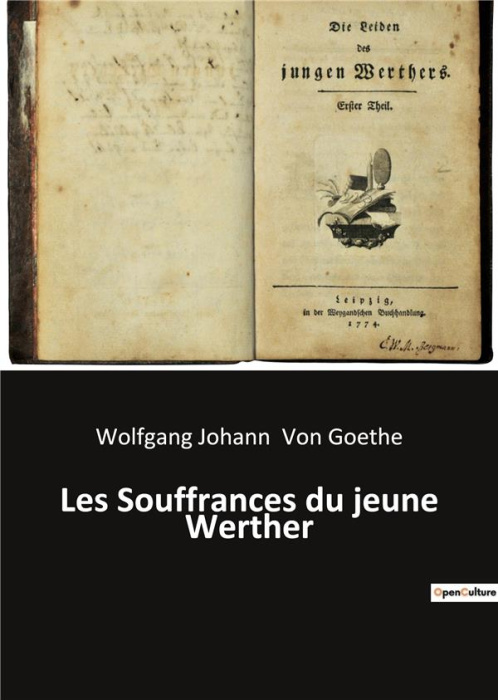 Emprunter Les souffrances du jeune werther livre