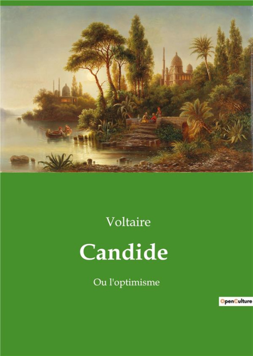 Emprunter Candide. Ou l'optimisme livre