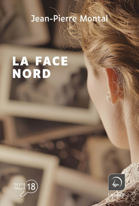 Emprunter La face nord [EDITION EN GROS CARACTERES livre