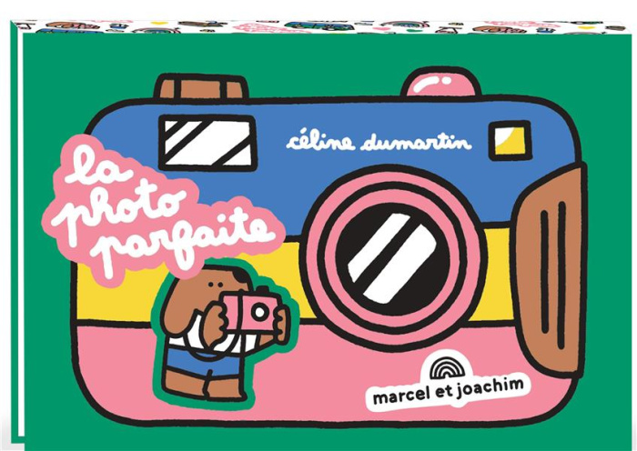 Emprunter La photo parfaite livre