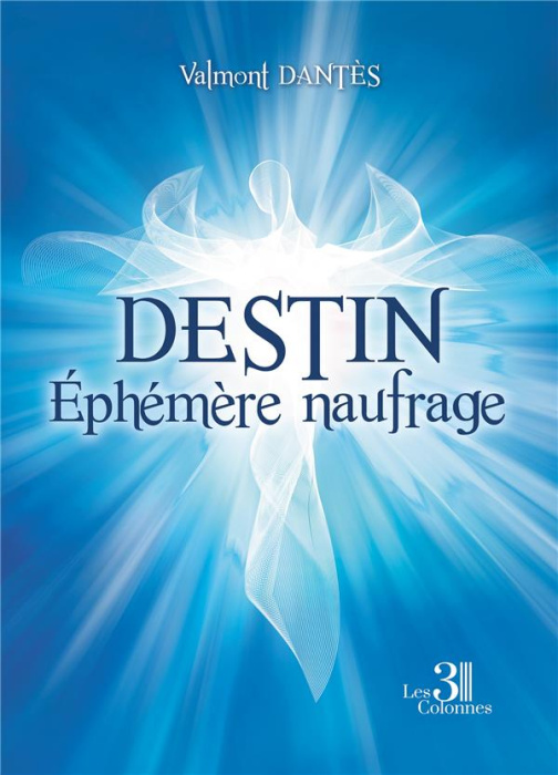 Emprunter Destin. Ephémère naufrage livre