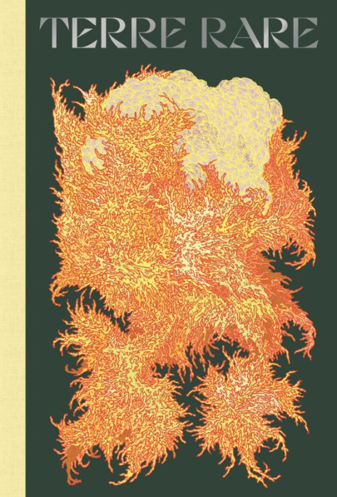 Emprunter Terre rare livre