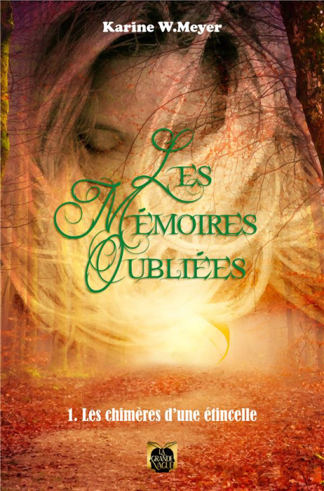 Emprunter Les Mémoires Oubliées - Tome 1 livre