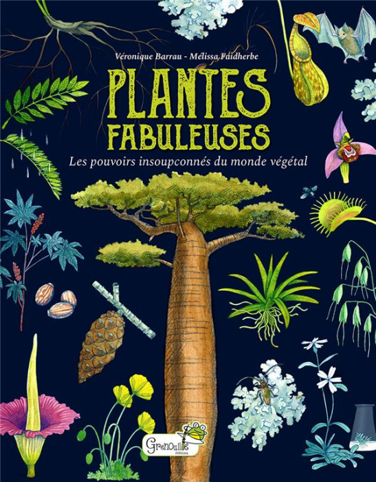 Emprunter Plantes fabuleuses. Les pouvoirs insoupçonnés du monde végétal livre