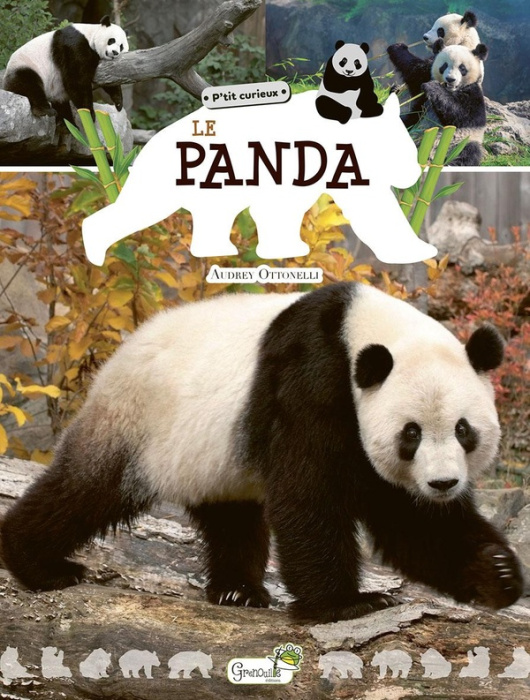Emprunter Le panda livre