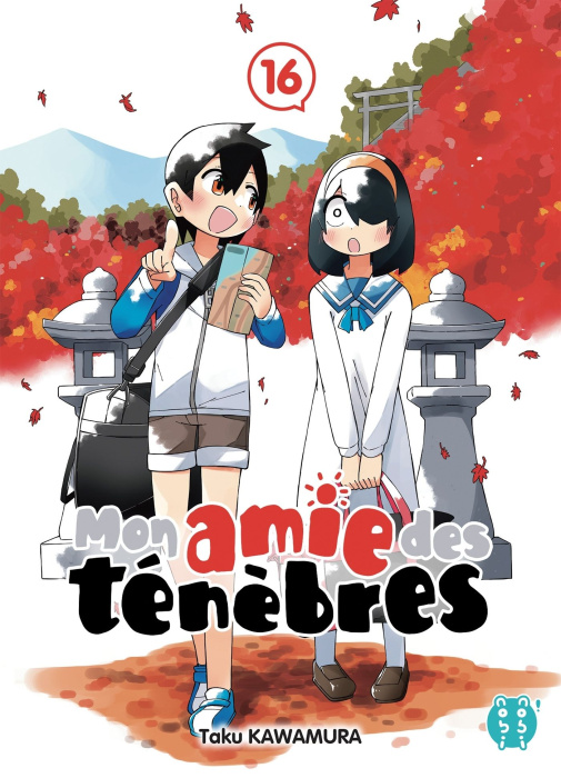 Emprunter Mon amie des ténèbres Tome 16 livre