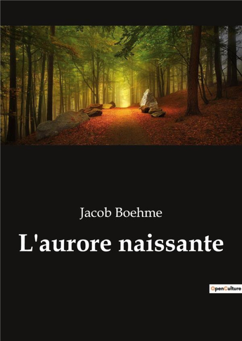 Emprunter L'aurore naissante livre