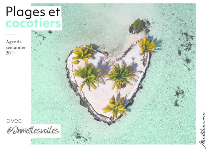 Emprunter Agenda semainier Plage et cocotiers. Edition 2024 livre