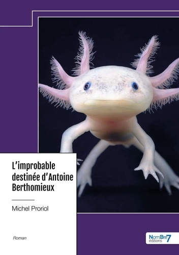Emprunter L'improbable destinée d'Antoine Berthomieux livre