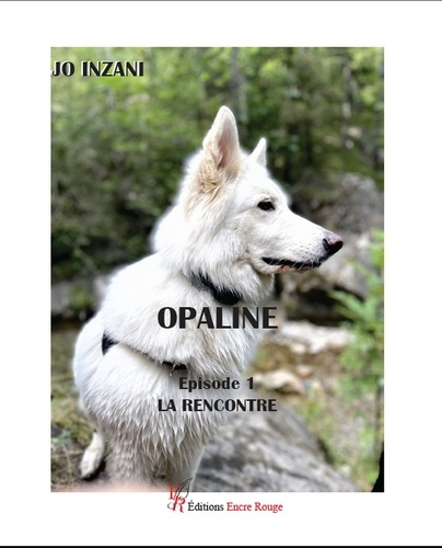 Emprunter Opaline. Episode 1, La rencontre livre