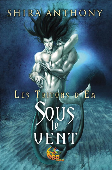 Emprunter Sous le vent livre