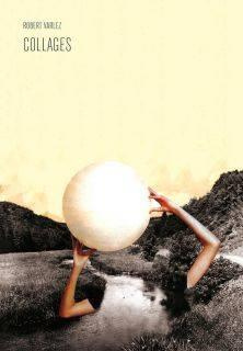 Emprunter Collages livre