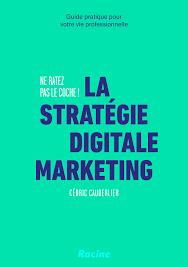 Emprunter La stratégie digitale marketing - Ne ratez pas le coche !. Guide pratique pour votre vie professionn livre