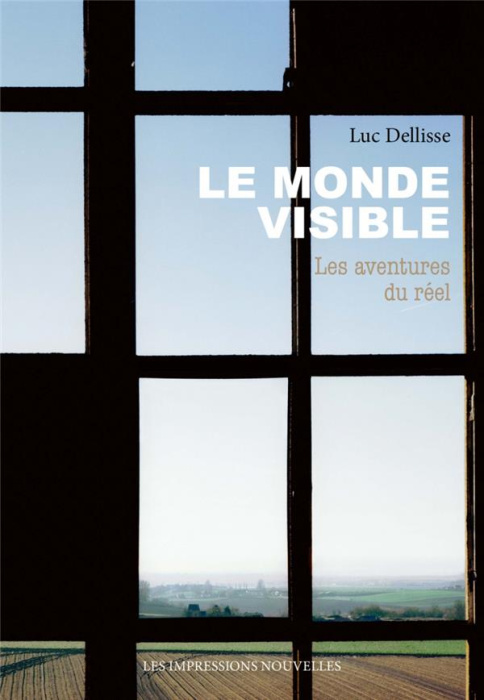 Emprunter Le monde visible. Les aventures du réel livre