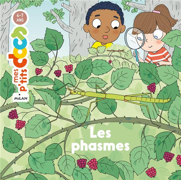 Emprunter Les phasmes livre