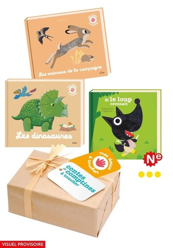 Emprunter COLIS DE REASSORT 16 EX. DOCUS ET CONTES ET COMPTINES A TOUCHER MILAN 2021 livre