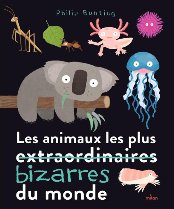 Emprunter Les animaux les plus bizarres du monde livre