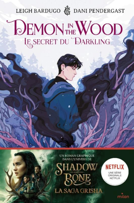 Emprunter Demon in the Wood. Le secret du Darkling livre