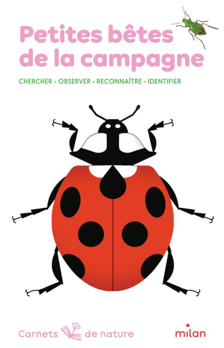 Emprunter Petites bêtes de la campagne. Chercher, observer, reconnaître, identifier livre