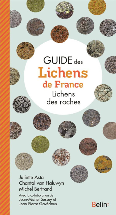 Emprunter Guide des lichens de France. Lichens des roches livre