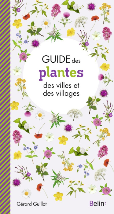 Emprunter Guide des plantes des villes et villages livre