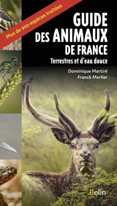 Emprunter Guide des animaux de France. Terrestres et eau douce livre
