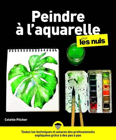 Emprunter Peindre à l'aquarelle pour les nuls livre