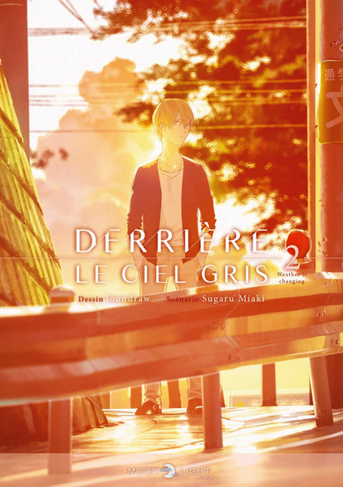 Emprunter Derrière le ciel gris Tome 2 livre