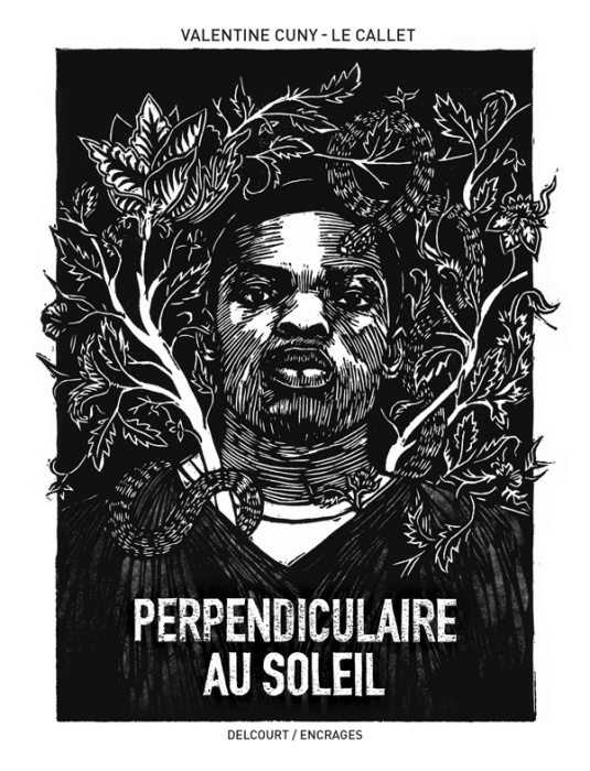 Emprunter Perpendiculaire au soleil livre