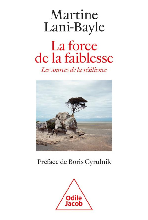 Emprunter La force de la faiblesse. Les sources de la résilience livre