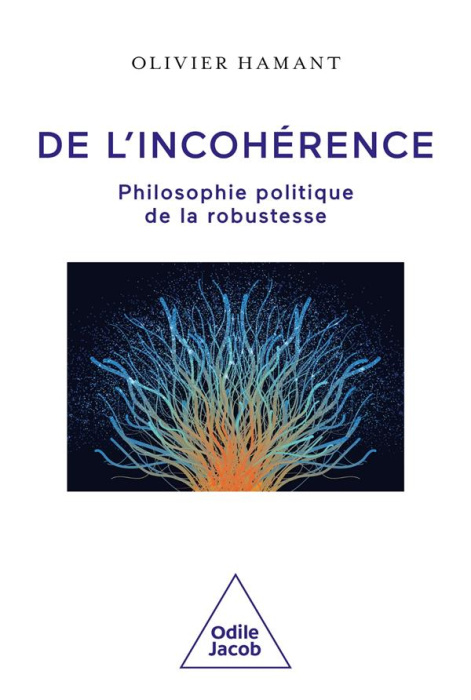 Emprunter De l'incohérence. Philosophie politique de la robustesse livre