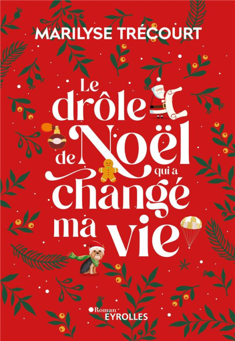 Emprunter Le drôle de Noël qui a changé ma vie livre