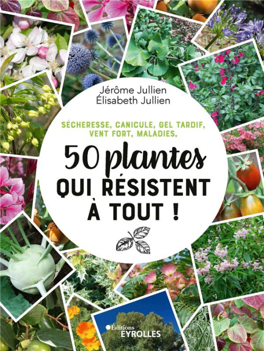 Emprunter 50 plantes qui résistent à tout ! Sécheresse, canicule, gel tardif, vent fort, maladies livre
